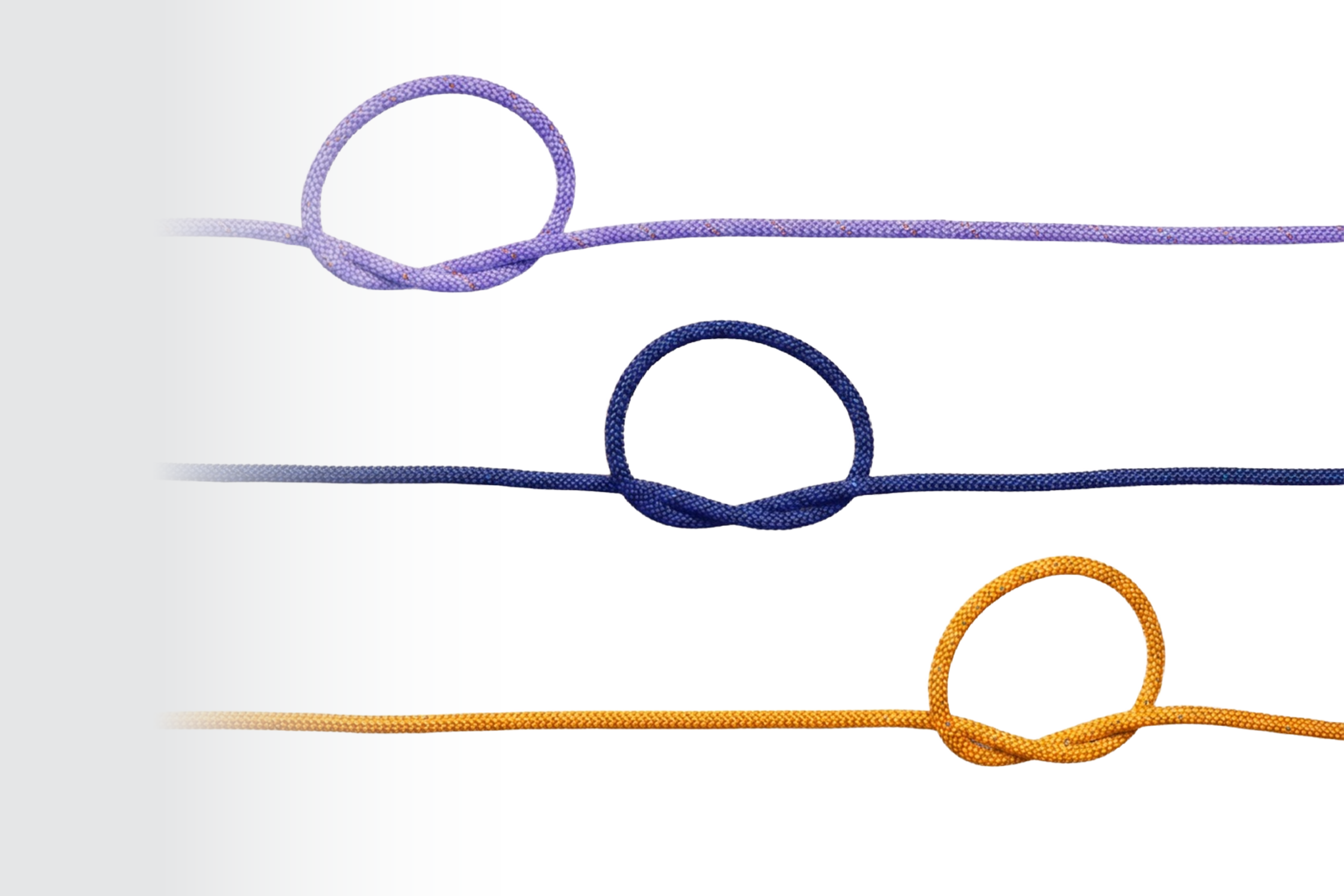 Image to go with text